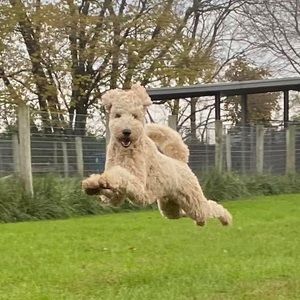 Meet your Posher, Concetta